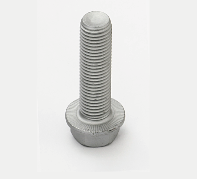Flange Screw